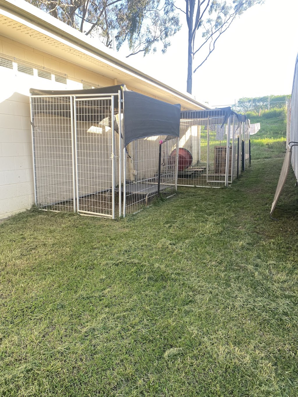 Brave Companion Dog Rescue Inc |  | 2107 Laidley Rosewood Rd, Laidley QLD 4341, Australia | 0491727449 OR +61 491 727 449