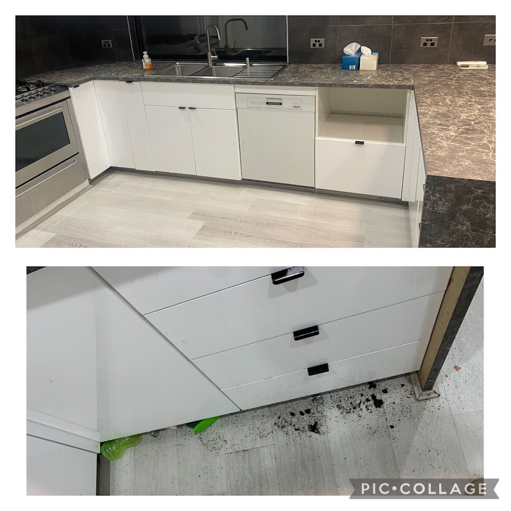 CLEANZ 4U PTY LTD - Narangba | 5 Imperial Cres, Narangba QLD 4504, Australia | Phone: 0424 454 005