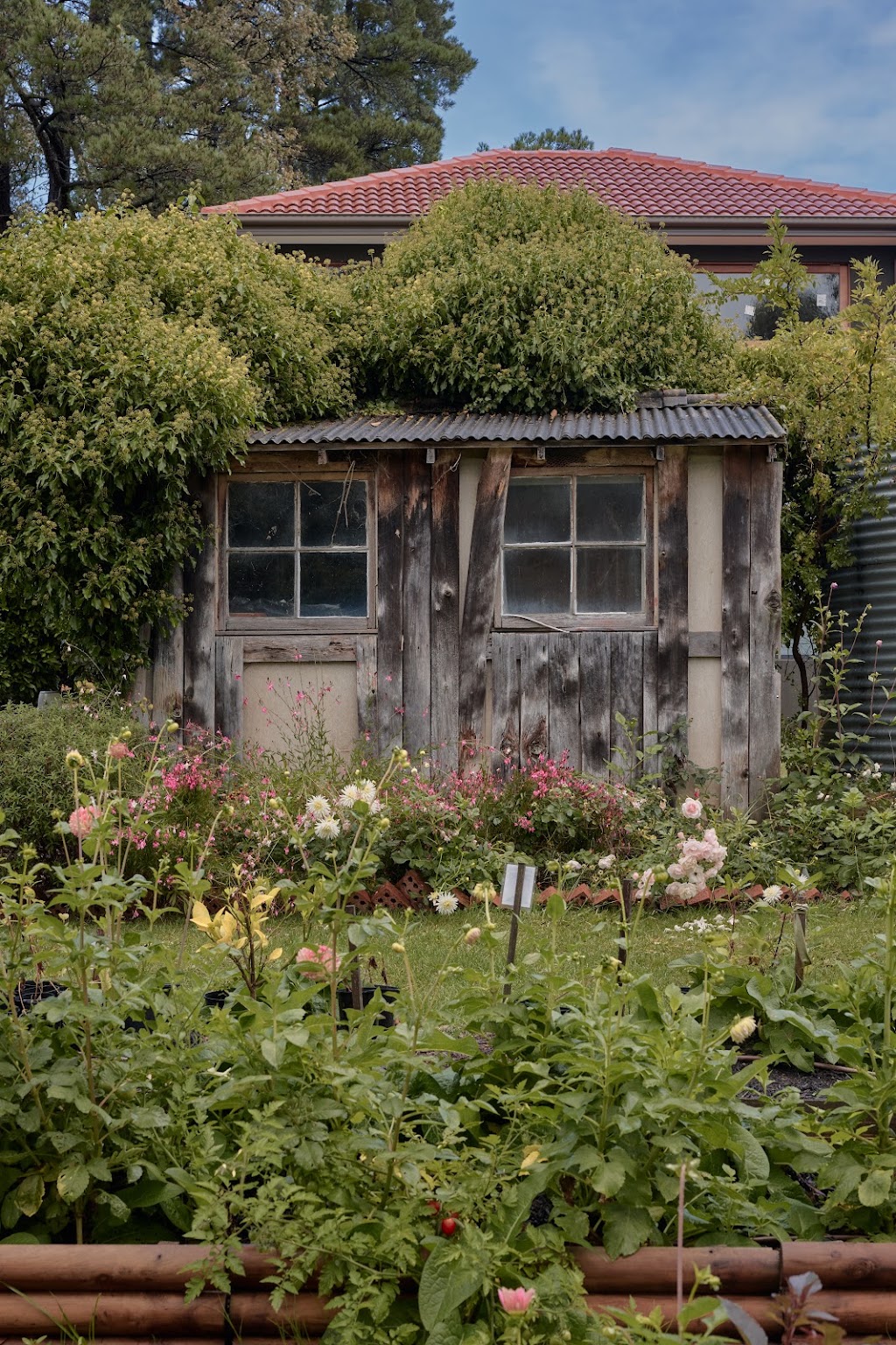 Harvest Homestead | 229 Glenfern Rd, Upwey VIC 3158, Australia | Phone: 0477 733 881