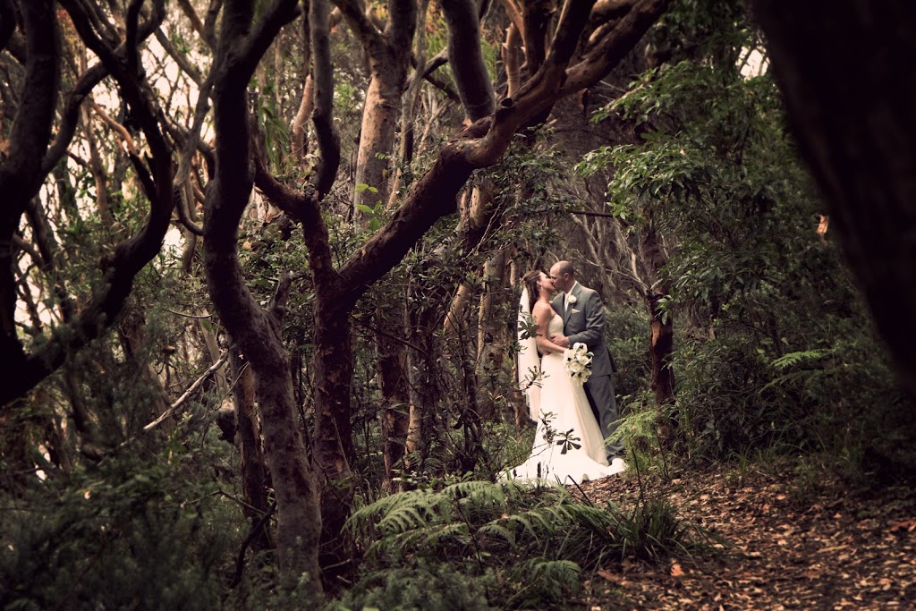 Pulse Photography |  | 48A Lisadell Rd, Medowie NSW 2318, Australia | 0423168519 OR +61 423 168 519