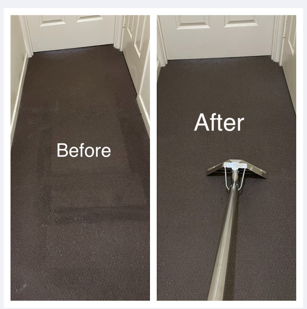 ZAIBA Carpet Cleaner | 39-43 Crump St, Holland Park West QLD 4121, Australia | Phone: 0414 193 588