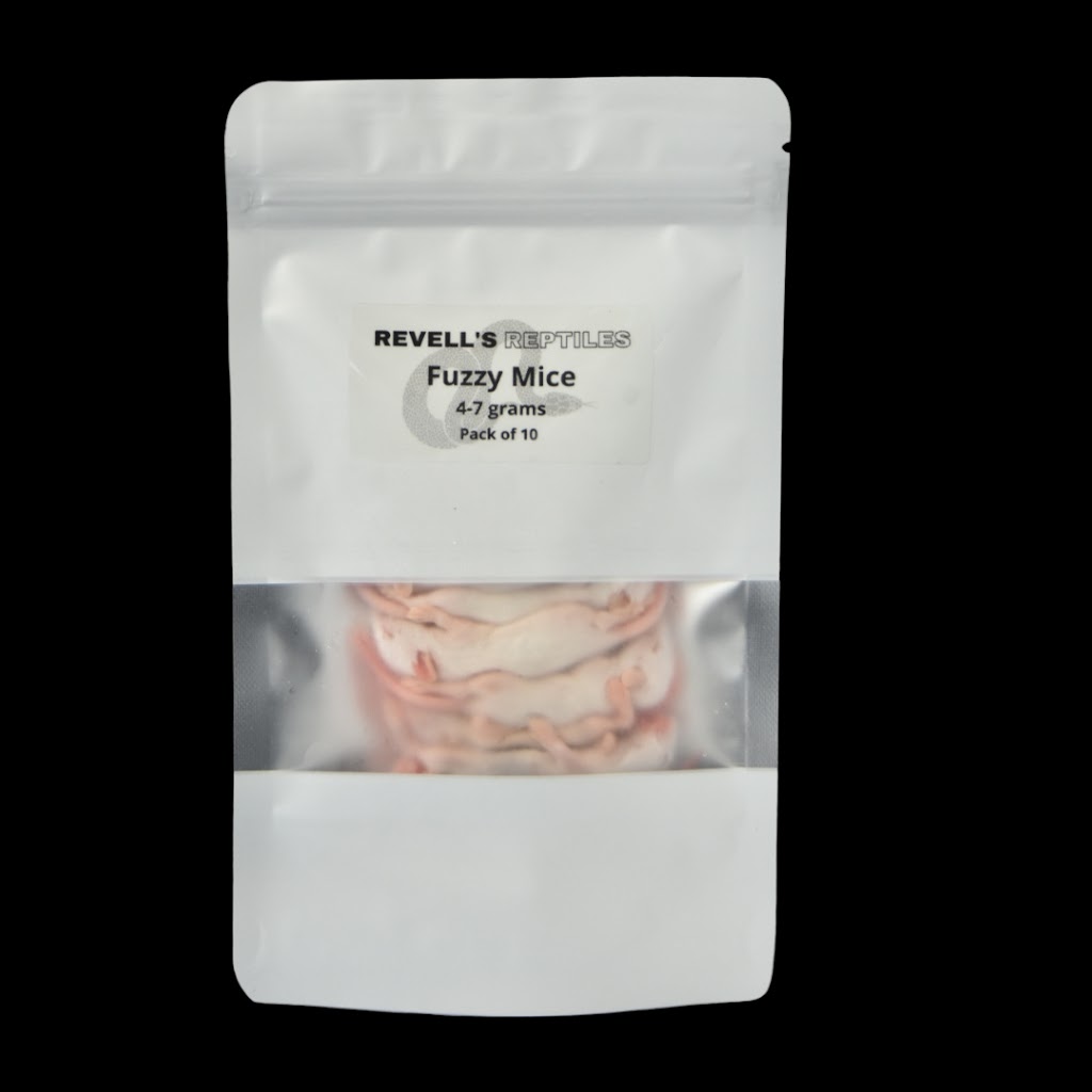 Revells Reptiles | Westbrook Rd, Bickley Vale NSW 2570, Australia | Phone: 0449 574 665