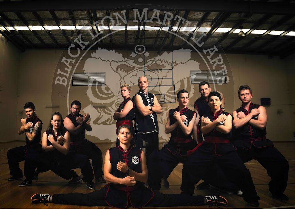 Black Lion Martial Arts | Shop6, 1/15 Lexington Rd, Underwood QLD 4119, Australia | Phone: 0432 295 446