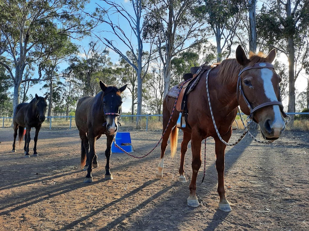 Friendship Horses | 123 George St, Nanango QLD 4615, Australia | Phone: 0407 988 179