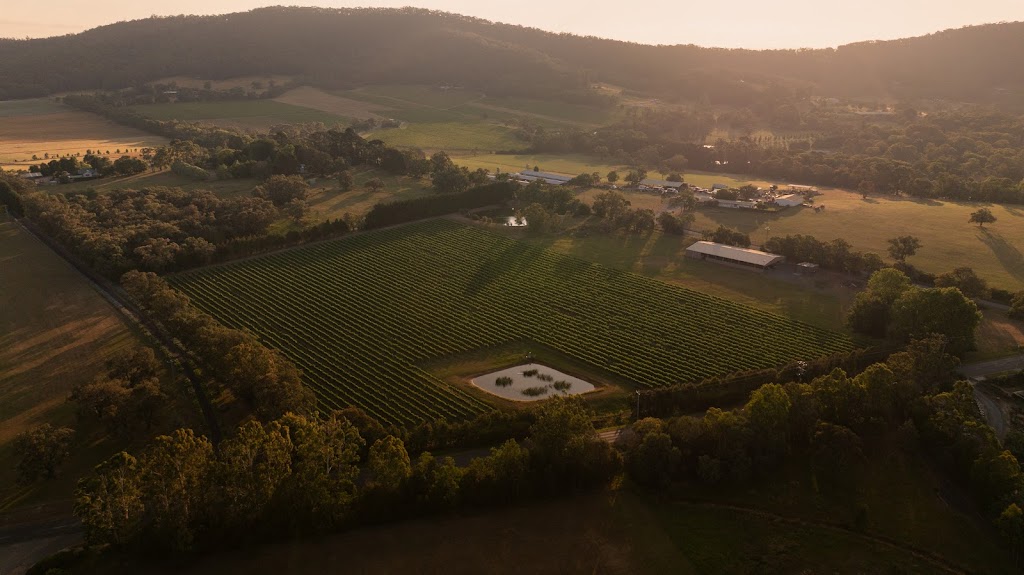 Mandala Wines | 108 Little Yarra Rd, Yarra Junction VIC 3797, Australia | Phone: 0409 809 058