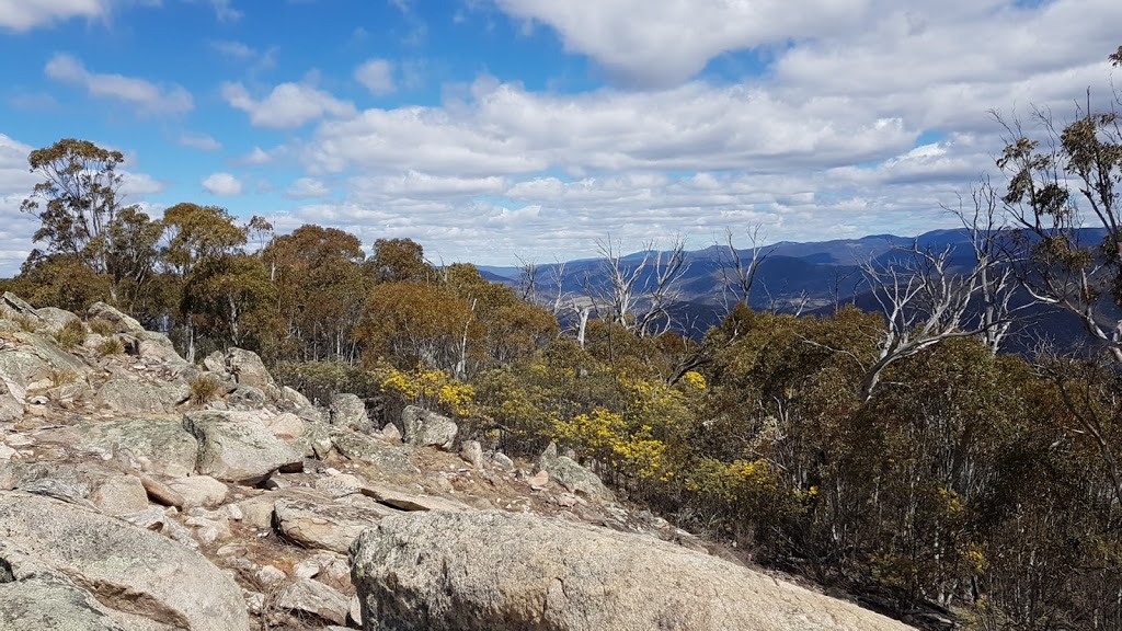 Mount Tennent Summit | Tennent ACT 2620, Australia