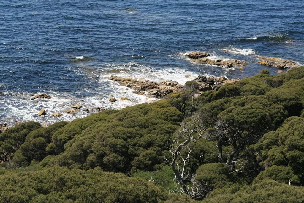 Cape Naturaliste | Cape Naturaliste Rd, Naturaliste WA 6281, Australia | Phone: (08) 9219 9000