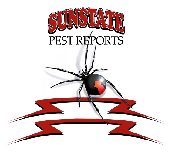pest and termite control | 33 Wivenhoe Cct, Narangba QLD 4504, Australia | Phone: 1300 793 311