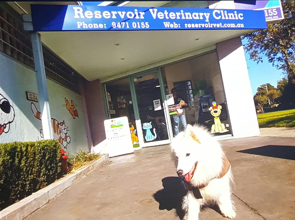 Reservoir Veterinary Clinic | 226 Spring St, Reservoir VIC 3073, Australia | Phone: (03) 9471 0155