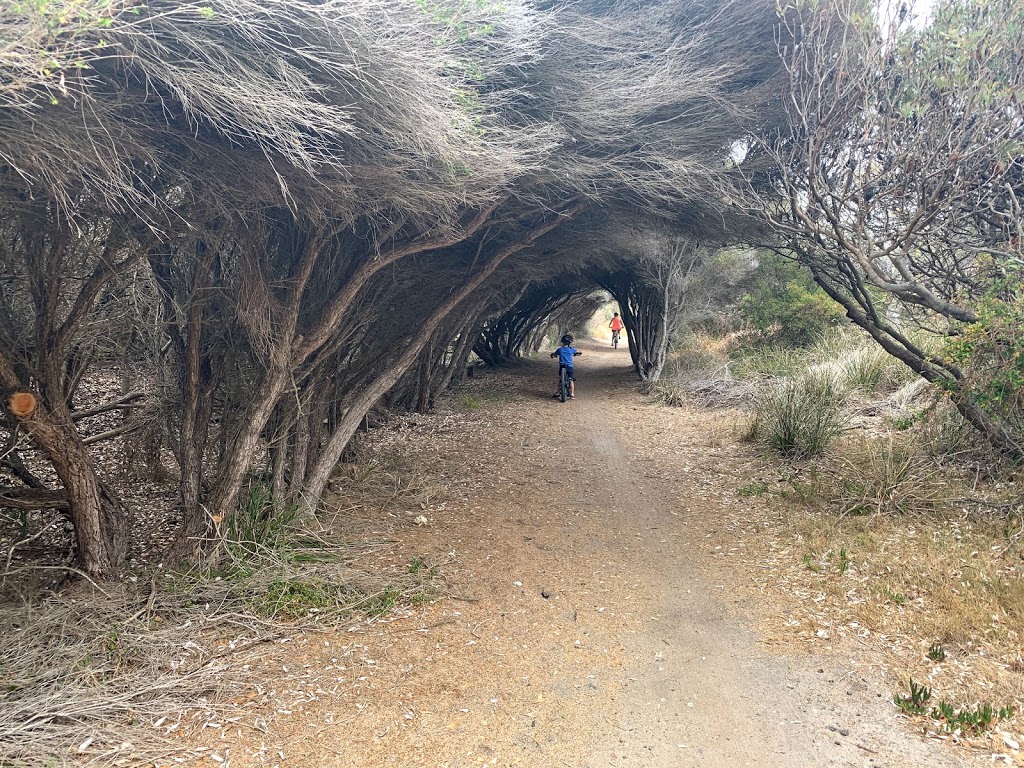 The Grotto | park | Tilba Rd, Bermagui NSW 2546, Australia