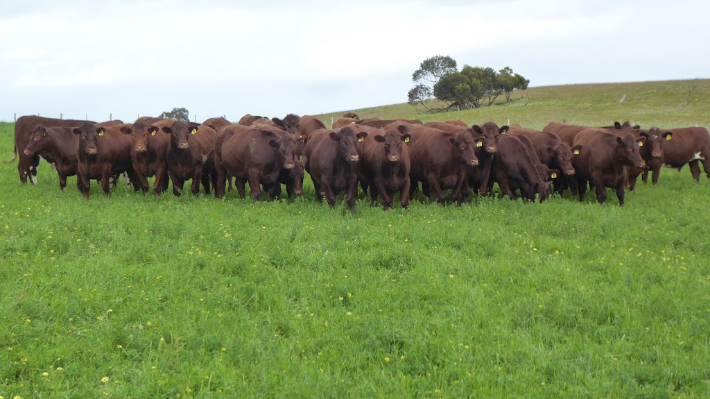 Geoff Watts Rural Real Estate Specialist | 204 Stirling Rd, Keith SA 5267, Australia | Phone: 0427 717 515
