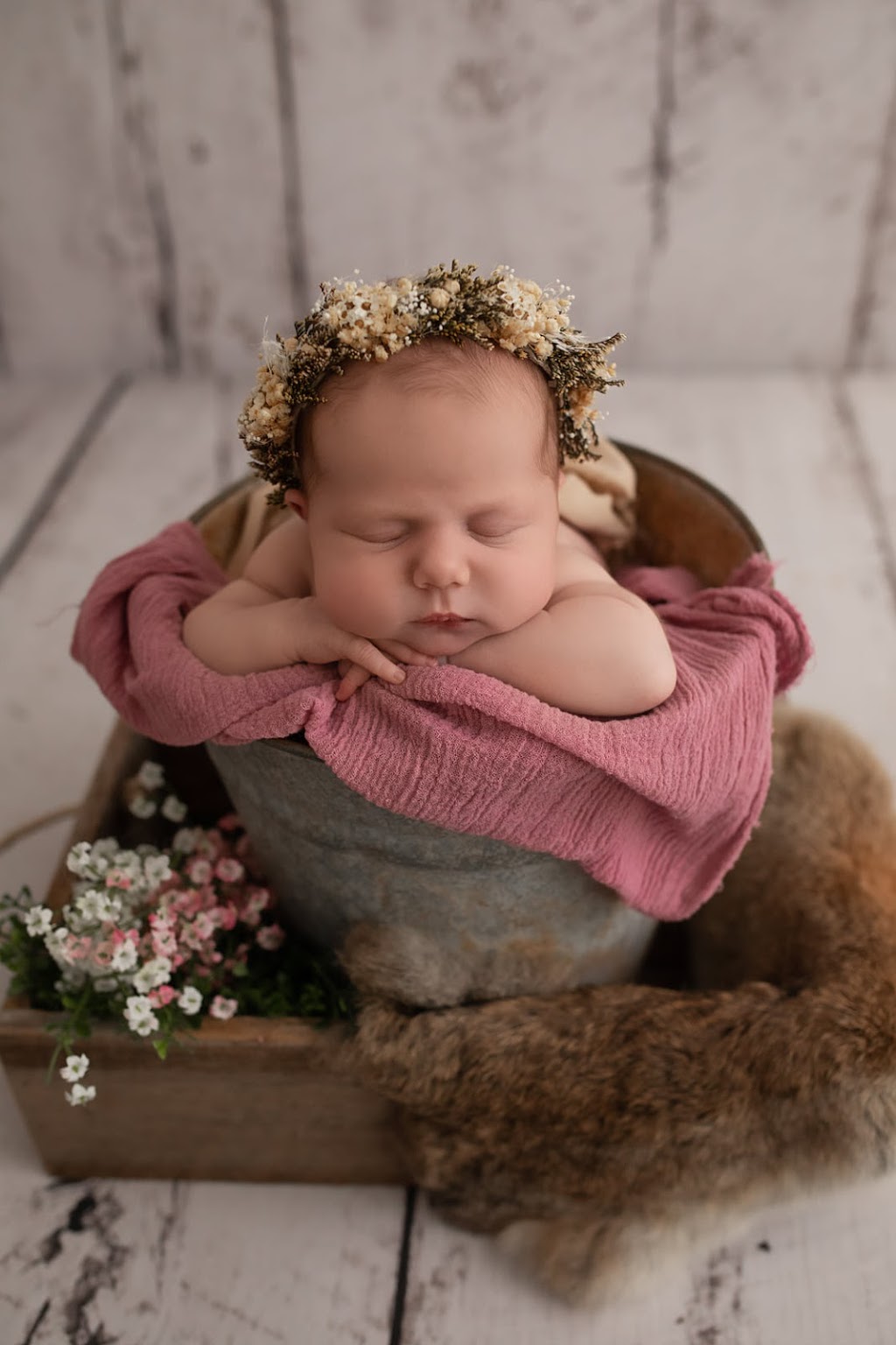 Kate Wiggins - Newborn and Family Photographer | 13 Montgomery Ct, Kilsyth VIC 3137, Australia | Phone: 0405 124 832