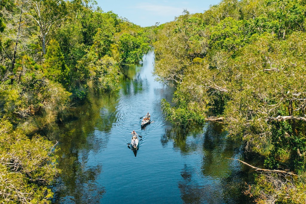 Everglades Eco Safaris | 204 Lake Flat Rd, Boreen Point QLD 4565, Australia | Phone: (07) 5485 3165