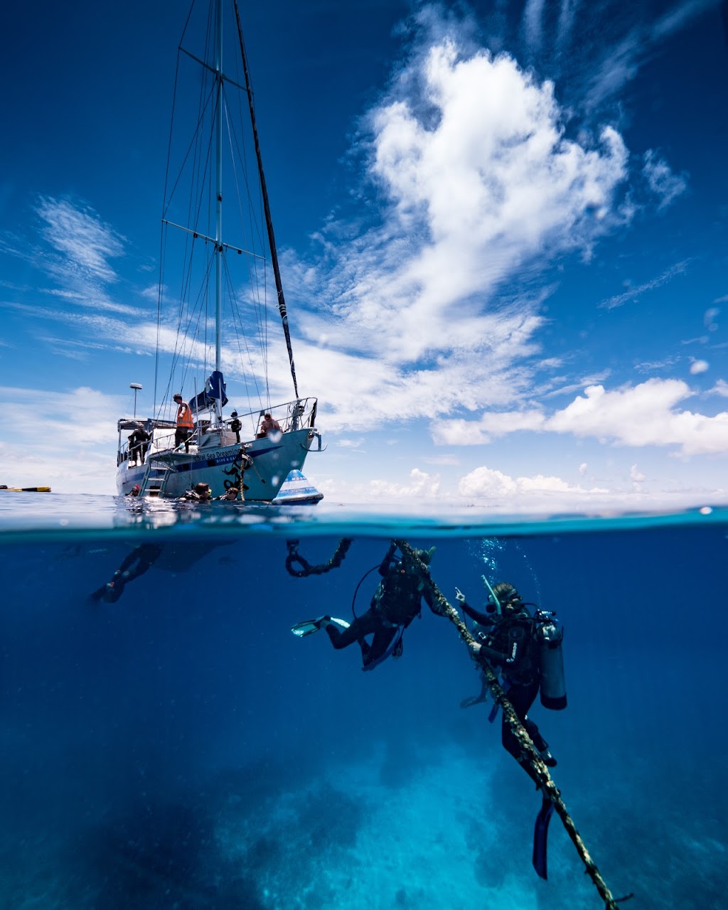 Coral Sea Dreaming Dive and Sail | Marlin Marina, Finger, A02, Cairns City QLD 4870, Australia | Phone: 0474 727 777