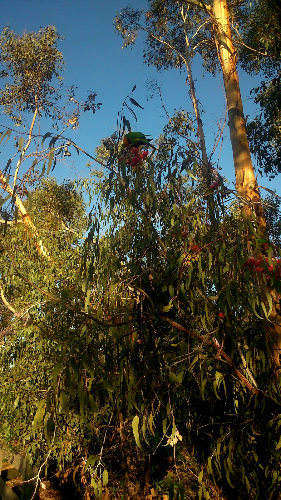 John Byron Reserve | Narre Warren VIC 3805, Australia