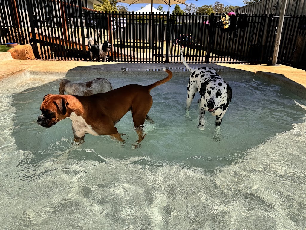 Rocky Ridge Pet Resort | 3 Jones Rd, Calga NSW 2250, Australia | Phone: 0435 764 422