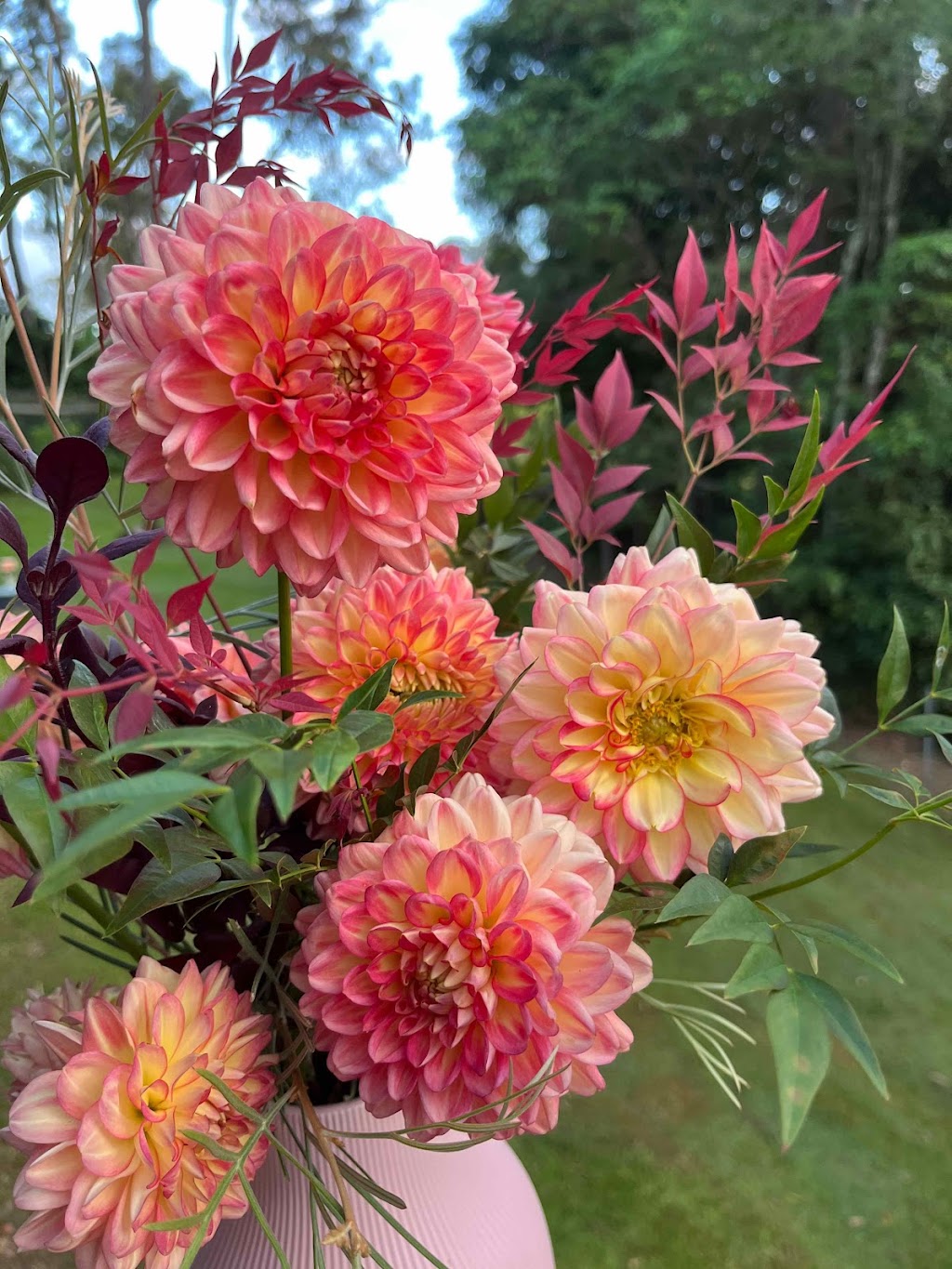 Blooms on View Flower Farm | 2299 Mount Mee Rd, Ocean View QLD 4521, Australia | Phone: 0434 828 825
