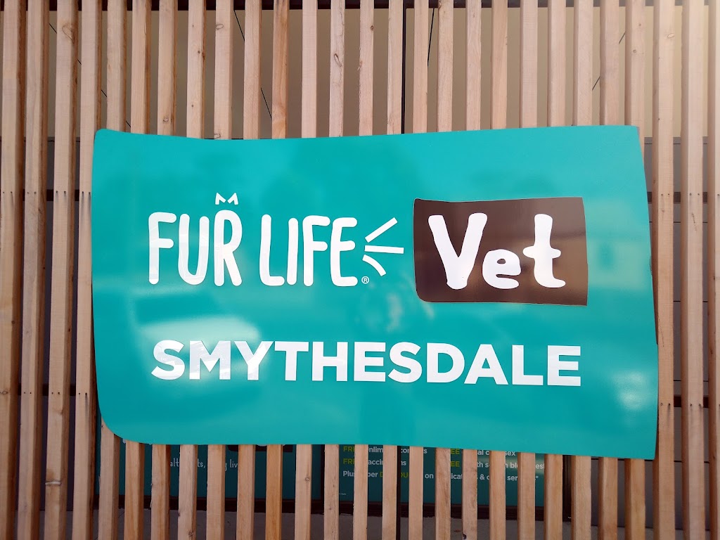 Fur Life Vet | veterinary care | 67 Brooke St, Smythesdale VIC 3351, Australia | 0353185750 OR +61 3 5318 5750