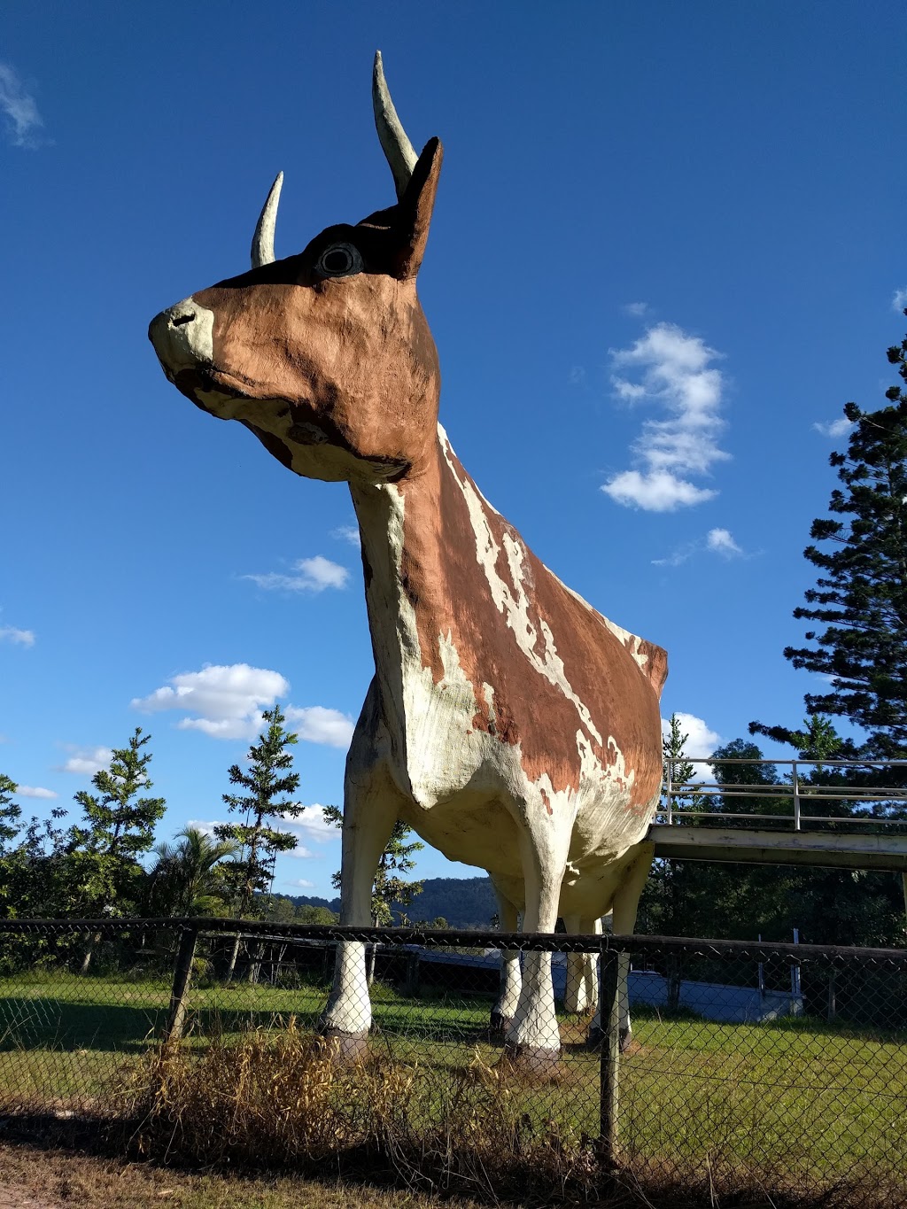 The Big Cow | museum | 9/11 Ayrshire Rd, Kulangoor QLD 4560, Australia | 0418243042 OR +61 418 243 042