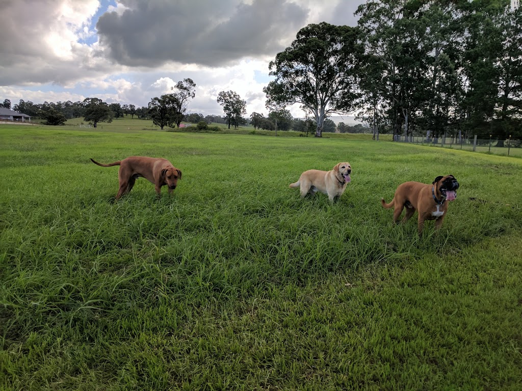 North Richmond Fenced Dog Park | park | Arthur Phillip Dr, North Richmond NSW 2754, Australia