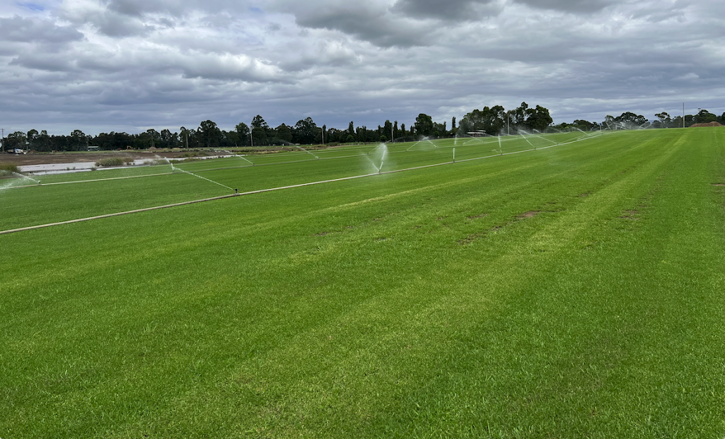 Harmony Turf | 108 Pitt Town Ferry Rd, Wilberforce NSW 2756, Australia | Phone: 0406 112 132