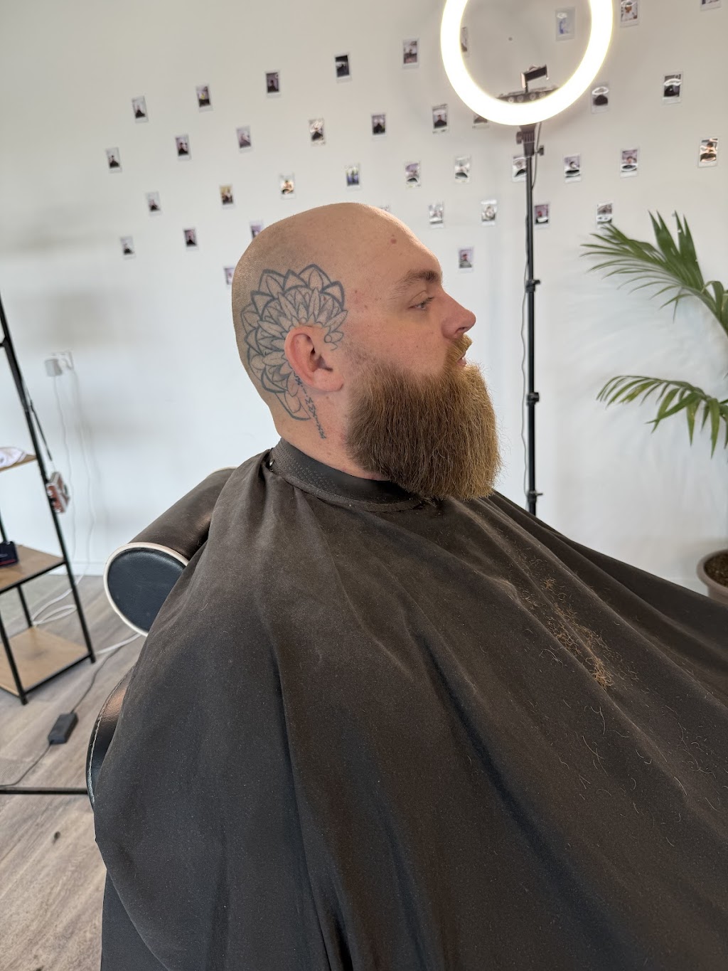 Mrgreencuts | 77 Tivoli Ave, Greenbank QLD 4124, Australia | Phone: 0421 051 713