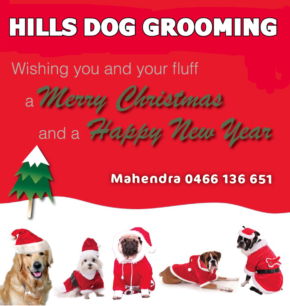 HILLS DOG GROOMING |  | Mullane Ave, Baulkham Hills NSW 2153, Australia | 0466136651 OR +61 466 136 651