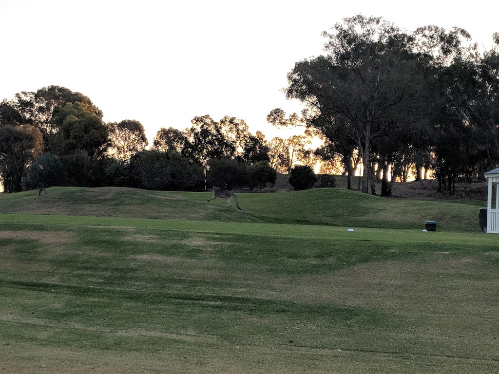 TAB Yarrawonga & Border Golf Club |  | Gulai Rd, Mulwala NSW 2647, Australia | 131802 OR +61 131802