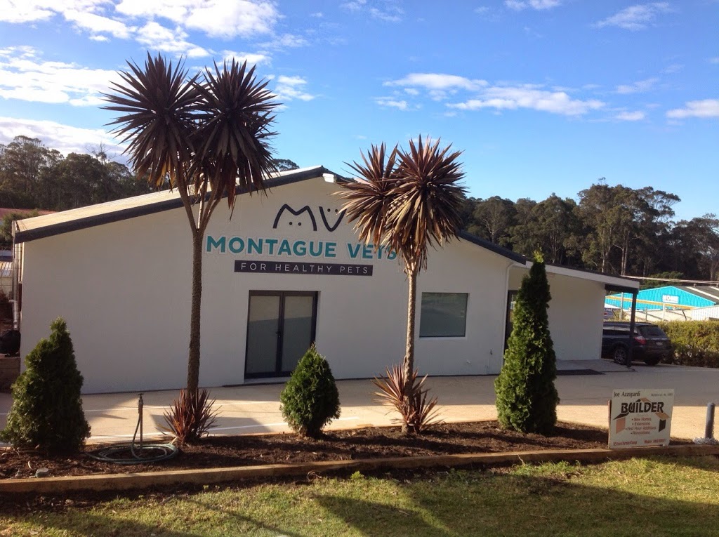 Montague Vets | veterinary care | 60 Glasshouse Rocks Rd, Narooma NSW 2546, Australia | 0244765530 OR +61 2 4476 5530