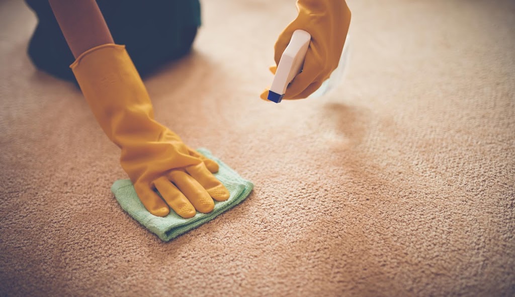 Fresh ’N’ Dry Carpet Cleaning | laundry | 310 Goodna Rd, Greenbank QLD 4124, Australia | 0455020955 OR +61 455 020 955