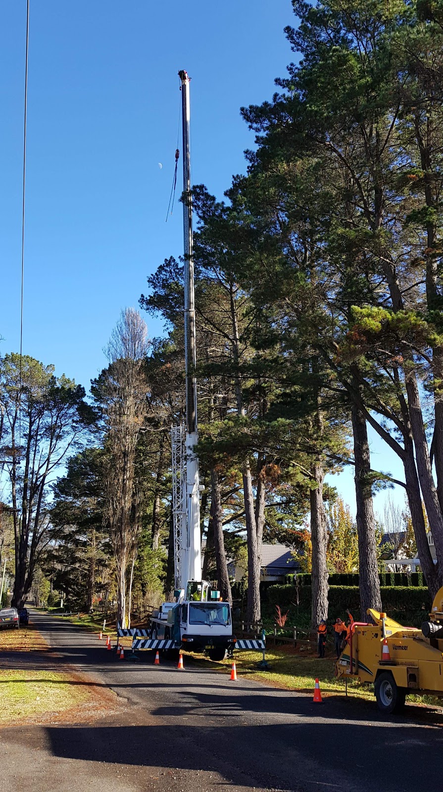 Heartwood Cranes | 66 Sunset Point Dr, Mittagong NSW 2575, Australia | Phone: 0429 112 999