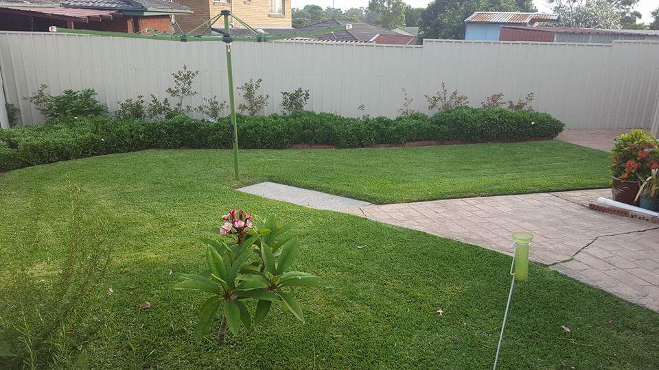 Hunter Lawn Maintenance Services | 2 Edstein Pl, Raymond Terrace NSW 2324, Australia | Phone: 0432 738 376