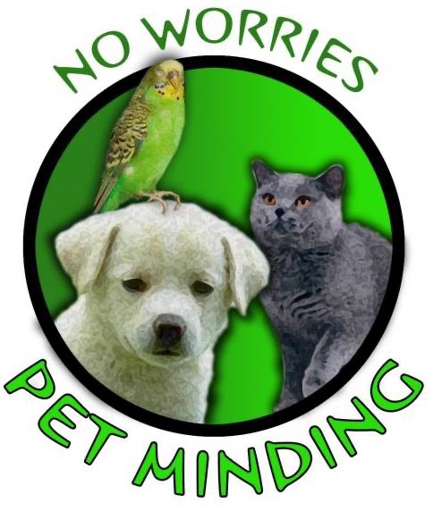 No Worries Pet Minding | Macadam Ct, Palmwoods QLD 4555, Australia | Phone: 0404 356 717