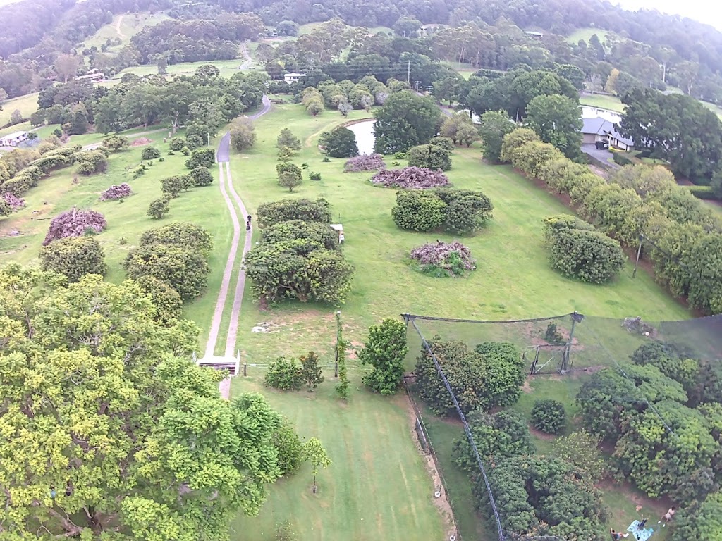 Lychee Farm | 169 S Boambee Rd, Boambee NSW 2450, Australia | Phone: (02) 6653 1931