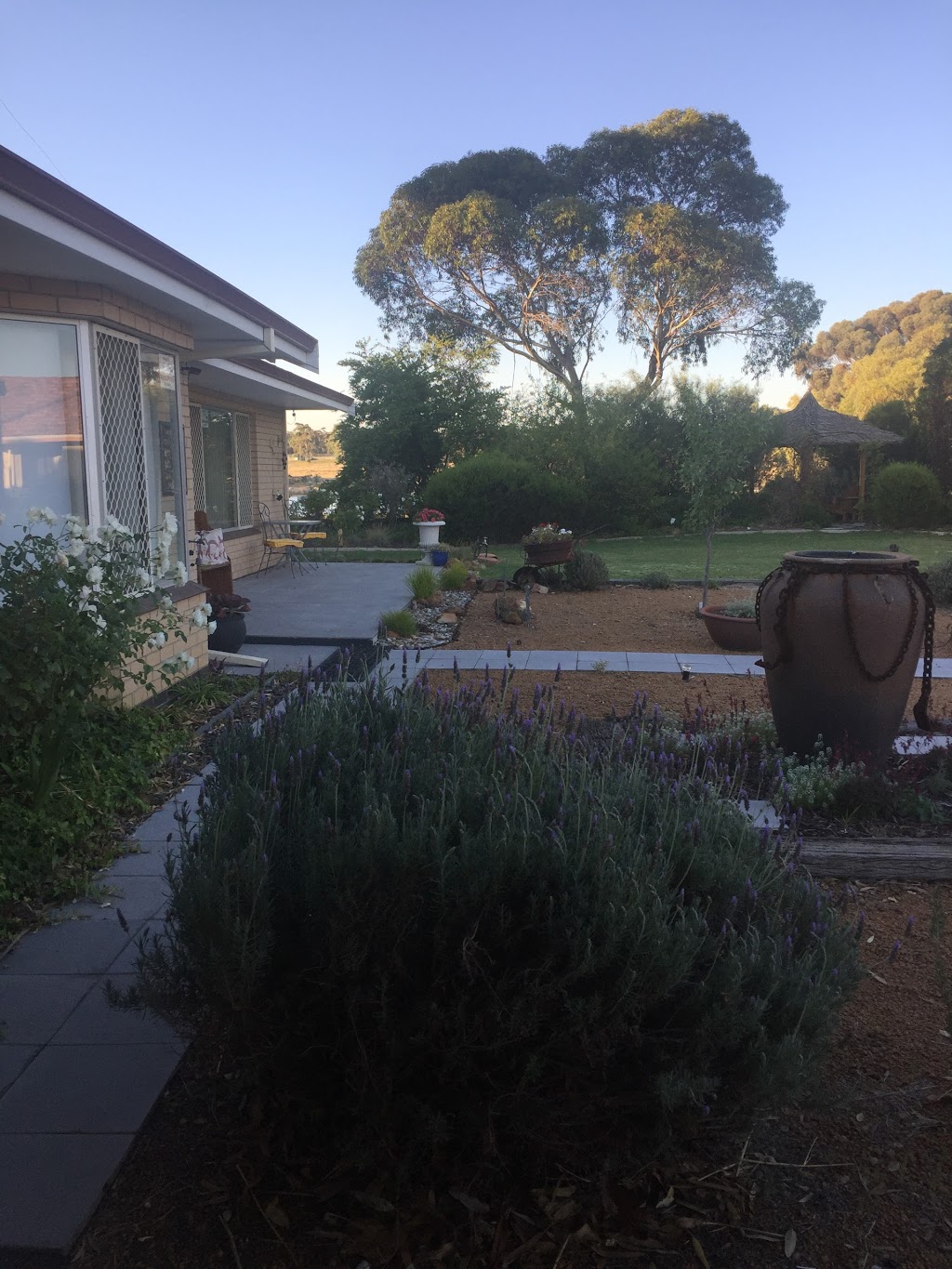 YellowGum Bed and Breakfast | 9 Forrest St, Katanning WA 6317, Australia | Phone: 0428 513 764