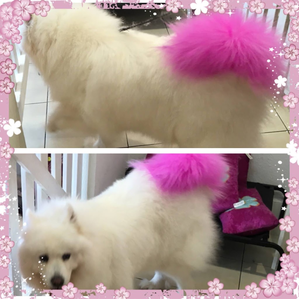 Doggy Beauty Parlour | 102 Cumberland Rd, Pascoe Vale VIC 3044, Australia | Phone: (03) 9355 7724