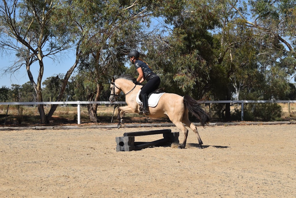 Eliza Pamela Equestrian | 575 Craven Rd, Tatura East VIC 3616, Australia | Phone: 0498 999 628 Eliza Pamela Equestrian | 575 Craven Rd, Tatura East VIC 3616, Australia | Phone: 0498 999 628