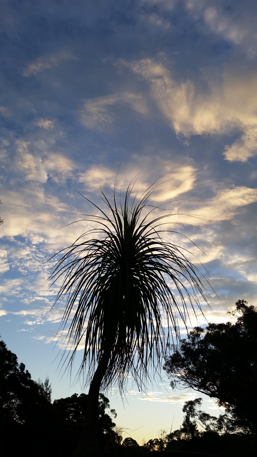 Brahma Kumaris | health | 150 MacArthur Dr, Wilton NSW 2571, Australia | 0246308124 OR +61 2 4630 8124