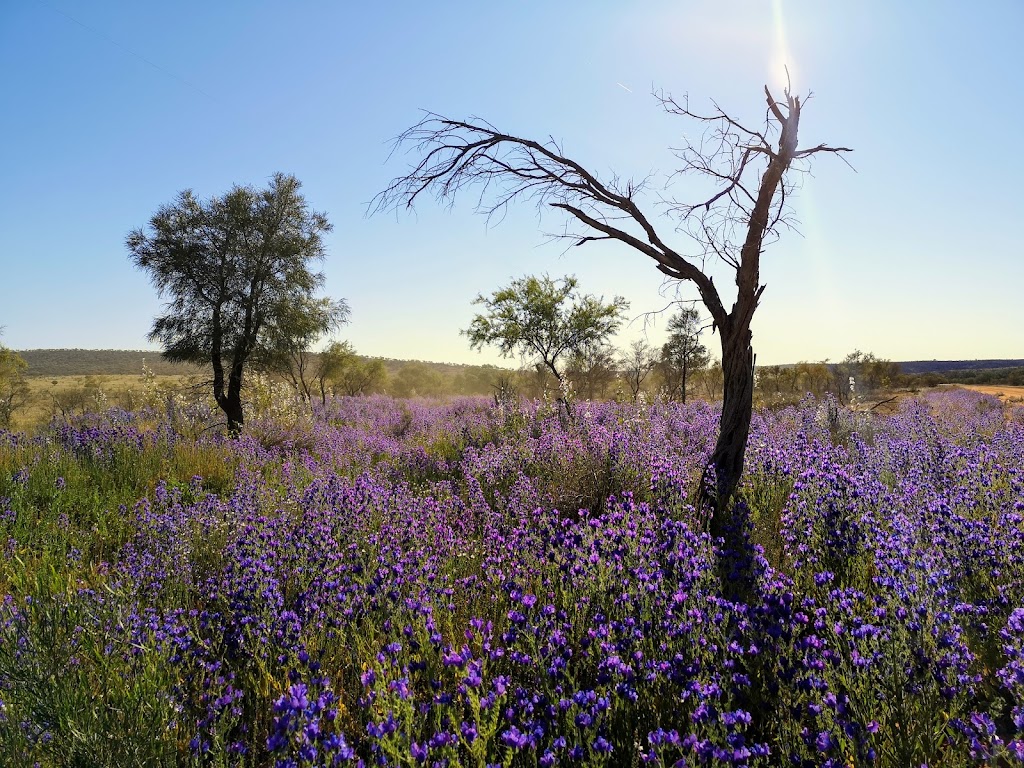 Mutawintji National Park | Mutawintji Rd, Broken Hill NSW 2880, Australia | Phone: (08) 8084 2880