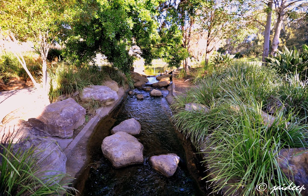 New Zealand Garden | park | Knox Rd, Doonside NSW 2767, Australia
