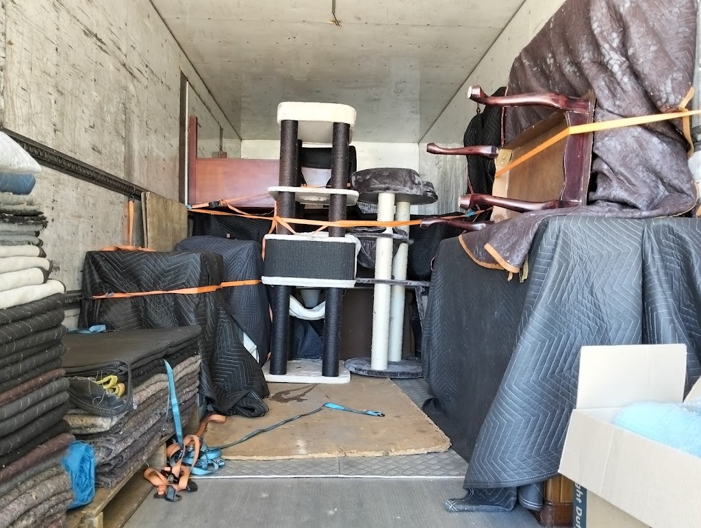 LMB Carriers | 53 Murray Rd, Wingham NSW 2429, Australia | Phone: 0424 652 144