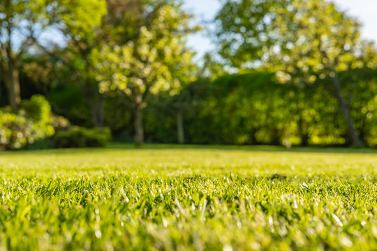 Colwyns Lawn Maintenance | Apt 2/25 Wright St, Harcourt VIC 3453, Australia | Phone: 0479 115 992