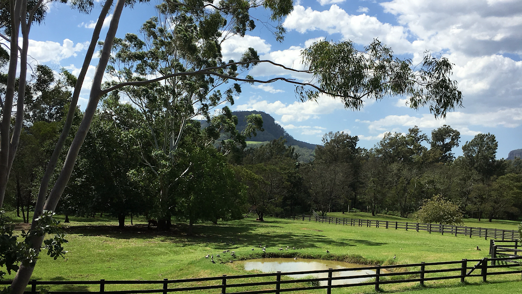 The Studio, The Apartment and The Residence | 149C Moss Vale Rd, Kangaroo Valley NSW 2577, Australia | Phone: 0403 495 548