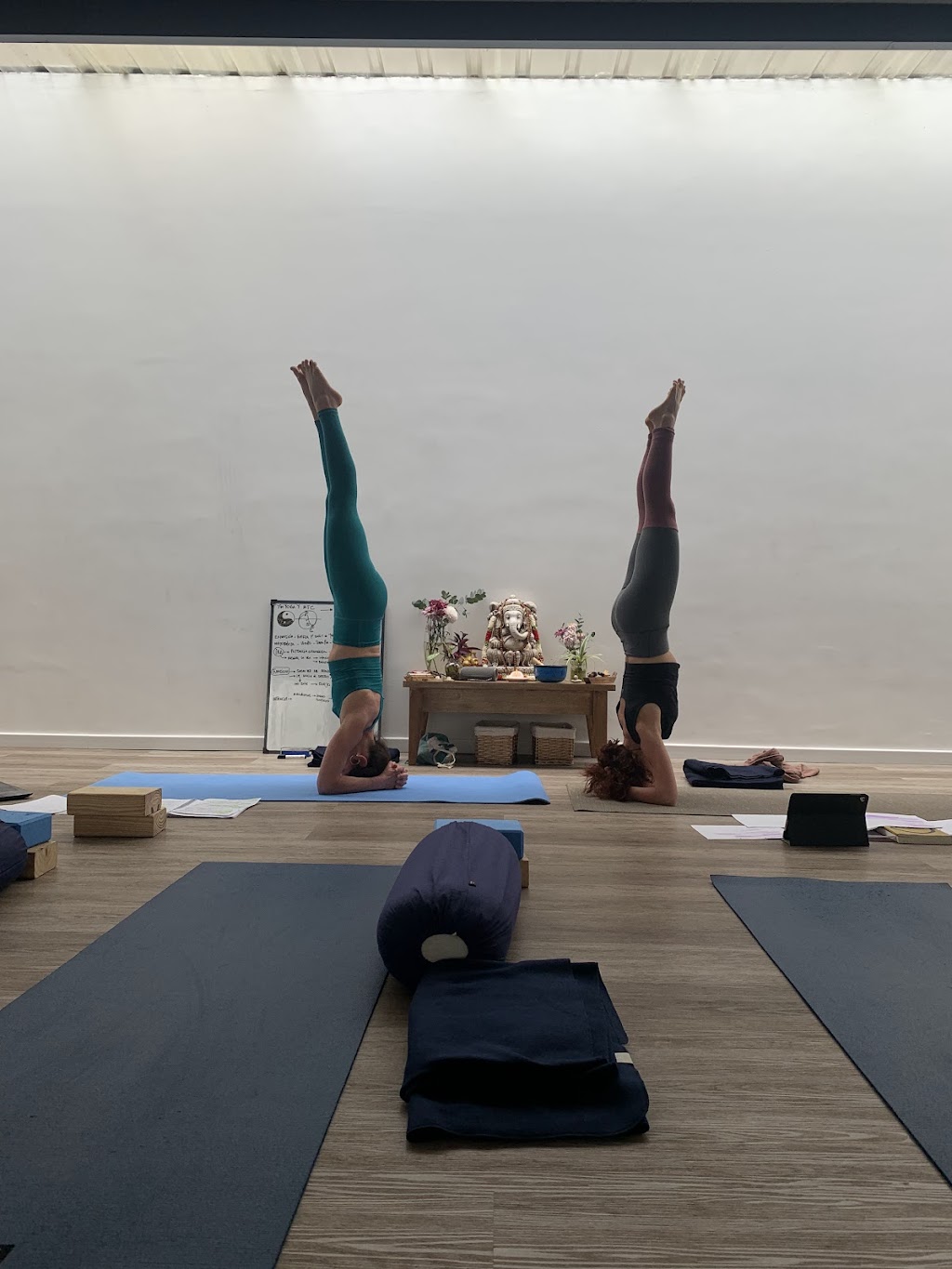 YOGA WITH CLARI | 129 Whale Beach Rd, Avalon Beach NSW 2107, Australia | Phone: 011 15-6890-3351