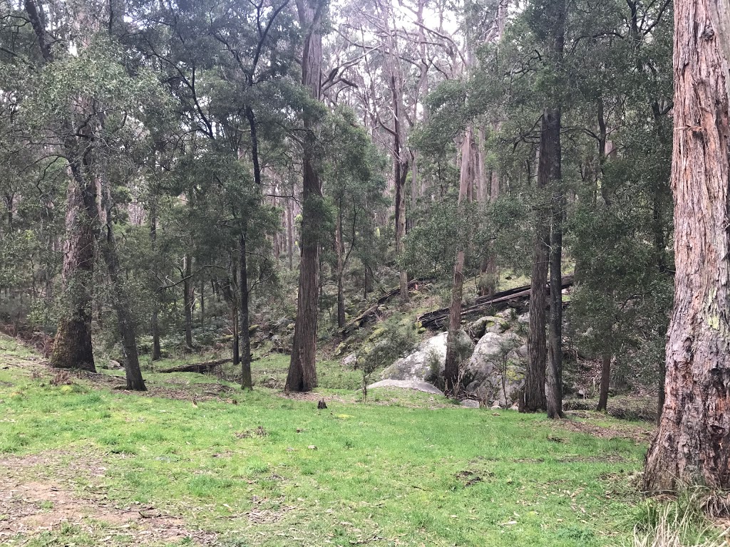 Freemans Camp and Picnic Area (Tallarook State Forest) | campground | Tallarook VIC 3659, Australia