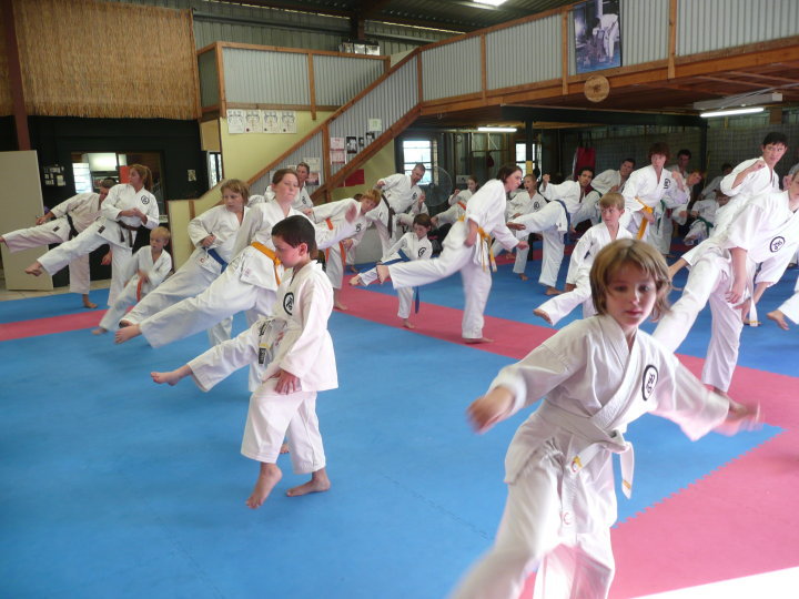 Mid North Coast Karate | 1/7-9 Ocean Dr, Kew NSW 2439, Australia | Phone: 0418 473 148