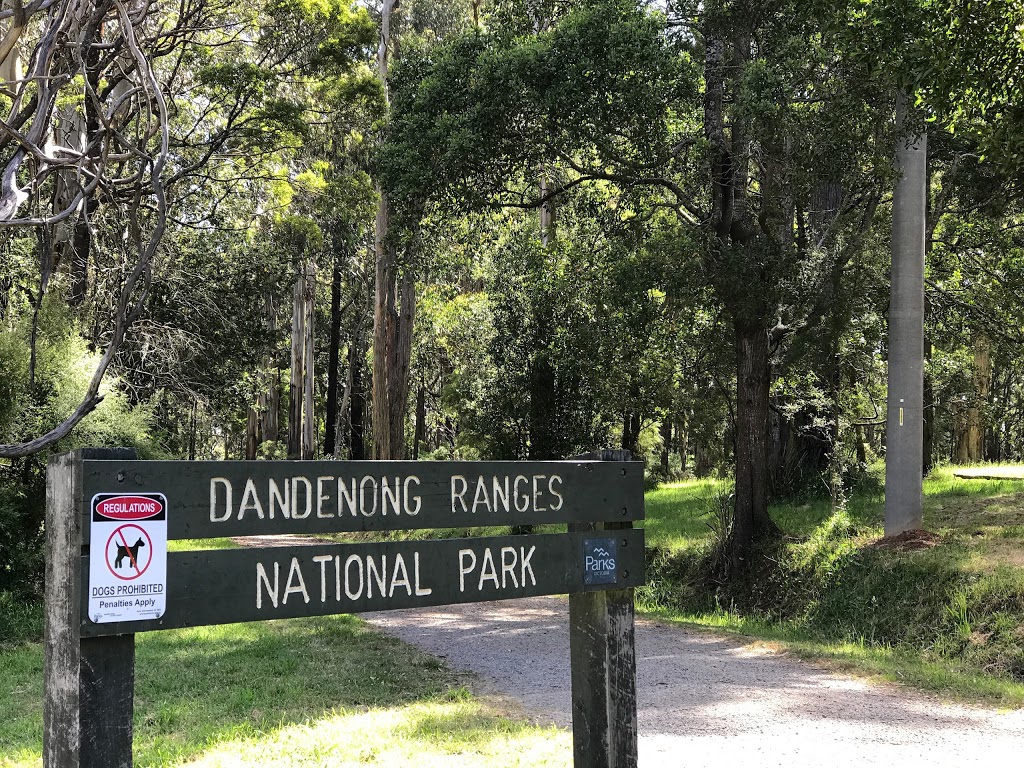 1000 Steps Carpark | Dandenong Ranges National Park, Mount Dandenong Tourist Rd, Ferny Creek VIC 3786, Australia | Phone: 13 19 63