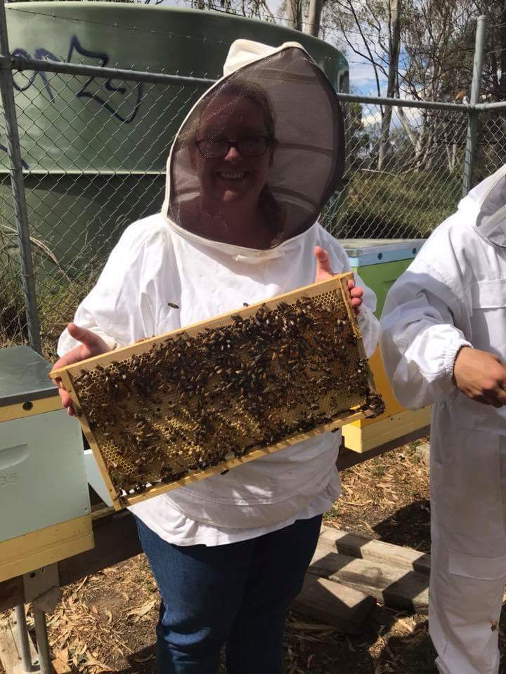 Yarrawonga Apiaries | 57 Cullens Rd, Yarrawonga VIC 3730, Australia | Phone: (03) 5744 2656