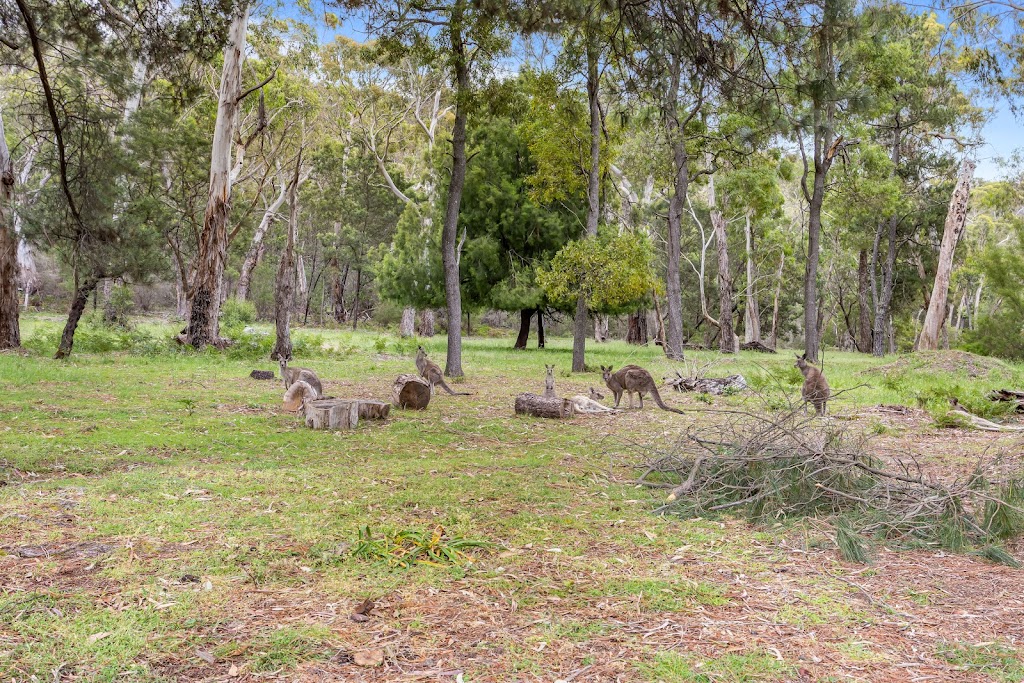 Kangaroo Guest House | Unit 2/18 Warren Rd, Halls Gap VIC 3381, Australia | Phone: 0412 885 828
