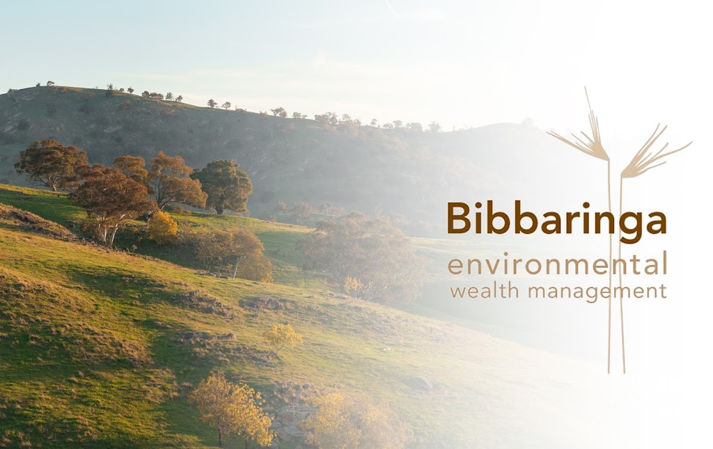 Bibbaringa |  | 1268 Wymah Rd, Bowna NSW 2644, Australia | 0428696724 OR +61 428 696 724